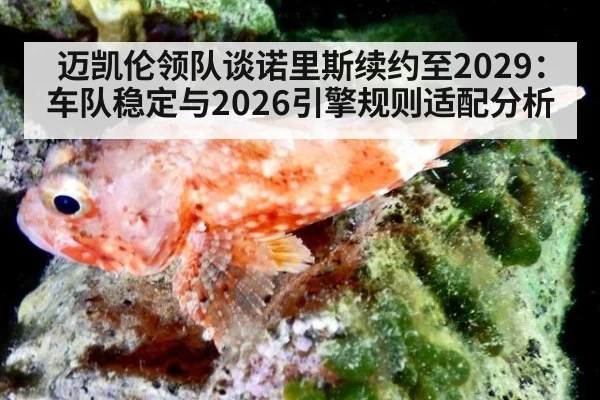 迈凯伦领队谈诺里斯续约至2029：车队稳定与2026引擎规则适配分析